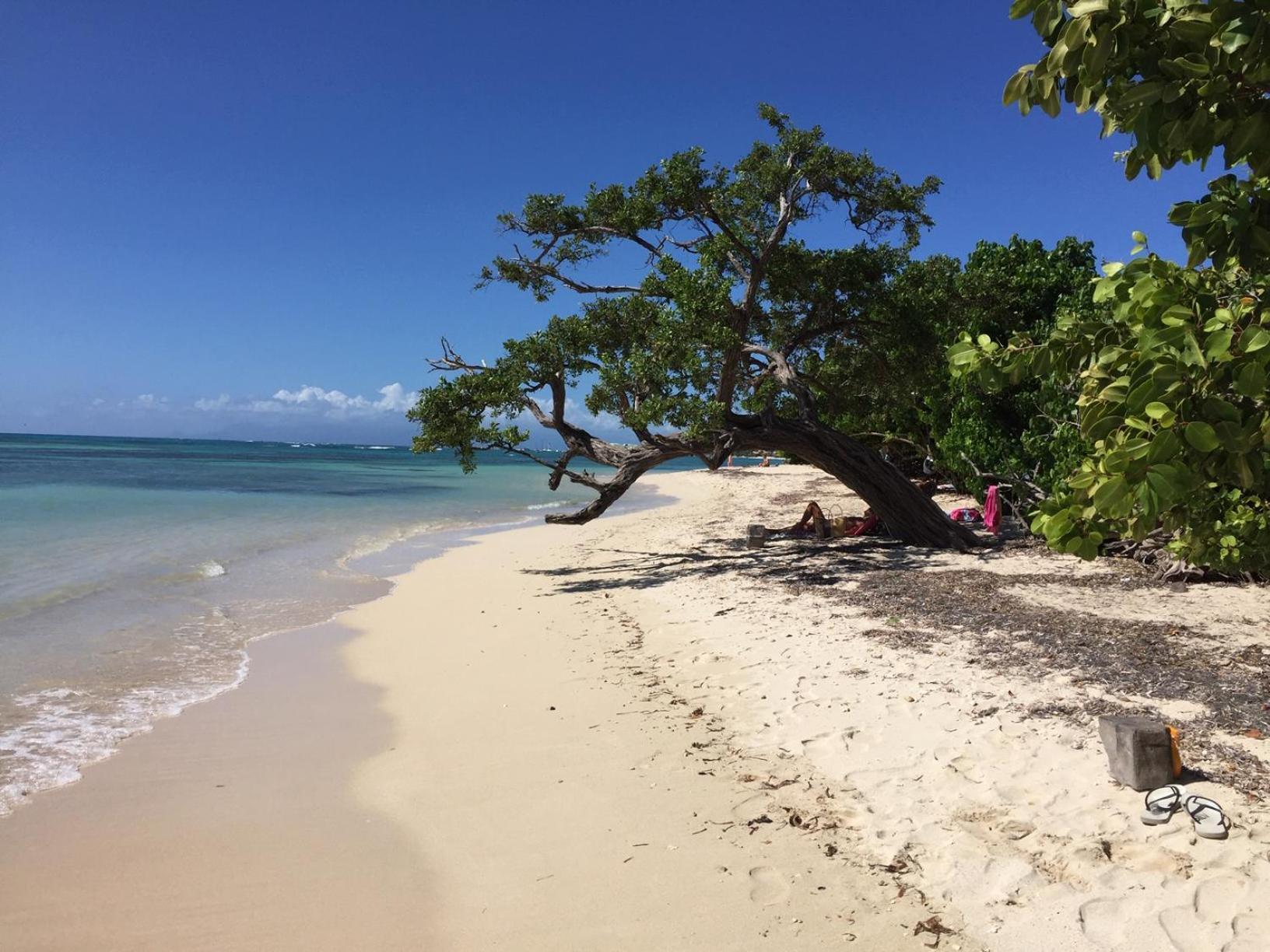Villa Les Saintes 4/5 P A 50M De La Plage De L'Anse De Mancillier Екстериор снимка