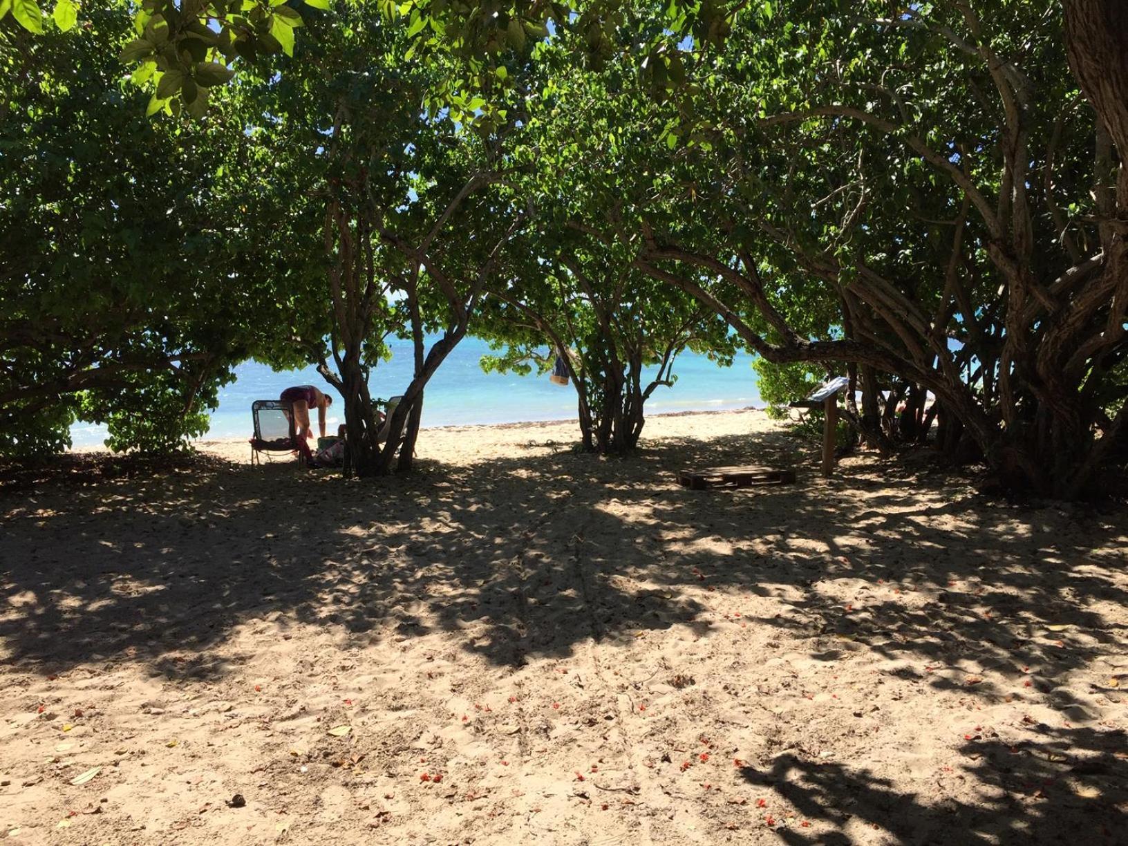 Villa Les Saintes 4/5 P A 50M De La Plage De L'Anse De Mancillier Екстериор снимка